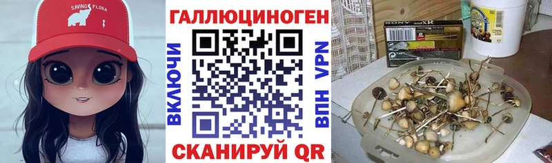 Псилоцибиновые грибы ЛСД  сколько стоит  Нижний Тагил 